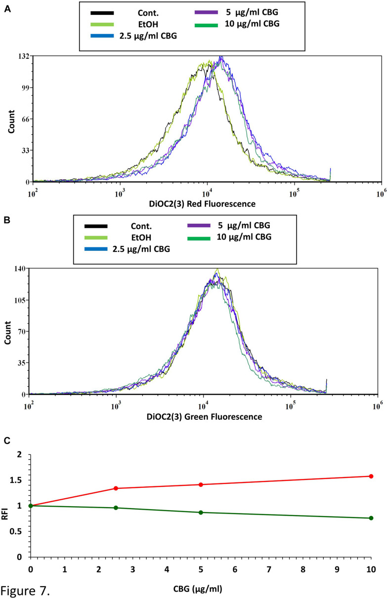 CBG causes membrane hyperpolarization in S. mutans. (A) The red fluorescence of DiOC2(3)-stained S. mutans that have been exposed to different CBG concentrations (0–10 μl/ml) for 30 min. (B) The green fluorescence of DiOC2(3)-stained S. mutans that have been exposed to different CBG concentrations (0–10 μl/ml) for 30 min. (C) The relative fluorescence intensity (RFI) of the red (red lines) and green (green lines) fluorescence of the samples presented in (A,B).