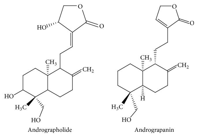 Chemical structures of Andrographis paniculata compounds.
