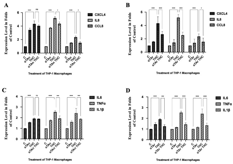 Quantification of cytokine mRNA expression in THP-1 macrophages. Cells were treated as indicated for 18 h (αTAr, αTAn (50 μM); THC, CBD (6 μM)). Total RNA was extracted, reverse transcribed, and gene expression measured by qPCR (Taqman). (A,B) Significant induction of CXCL4, IL8, and CCL8 gene expression was observed with THC, and it was prevented when co-treated with αTAn (A) or αTAr (B). (C,D) Significant induction of IL6, TNFα, and IL-1β was induced by THC, and it was prevented by co-treatment with αTAn (C) or αTAr (D). Co-treatment of THC with αTAr had a slightly stronger regulatory effect than co-treatment with αTAn. (mean ± SEM, n = 6 for THC, αTAr, αTAn * p < 0.05, *** p < 0.0005, **** p < 0.0001 relative to untreated control set to 100%; ns: non-significant).