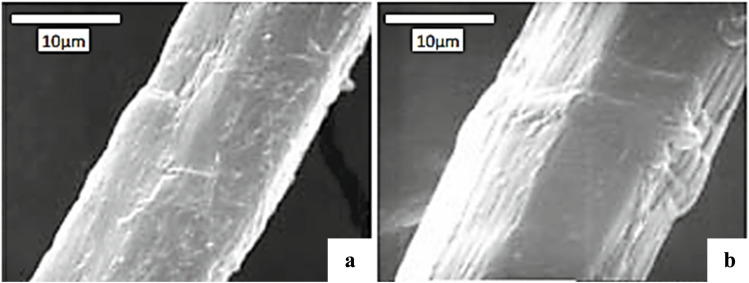 SEM images depicting surface modifications of flax fibers: (a) untreated and (b) after peroxide treatment. This figure has been reproduced from ref. 365 with permission from SAGE Publications, copyright 2026.