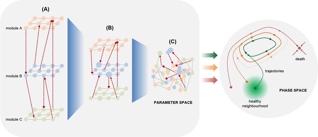 In modular systems several modules can be used independently to model physiological processes, disregarding their mutual relationships (A). The selection and combination of different components in a hierarchical fashion by means of composable criteria allows a better exploration of the parameter space (B). The actual interpenetration of multiple systems can be achieved by modeling the dynamics of their mutual relationships providing further information on the underlying phenomena (C). Such deeper exploration of the parameter space enhances the evaluation of initial conditions and trajectories in the phase space (right).