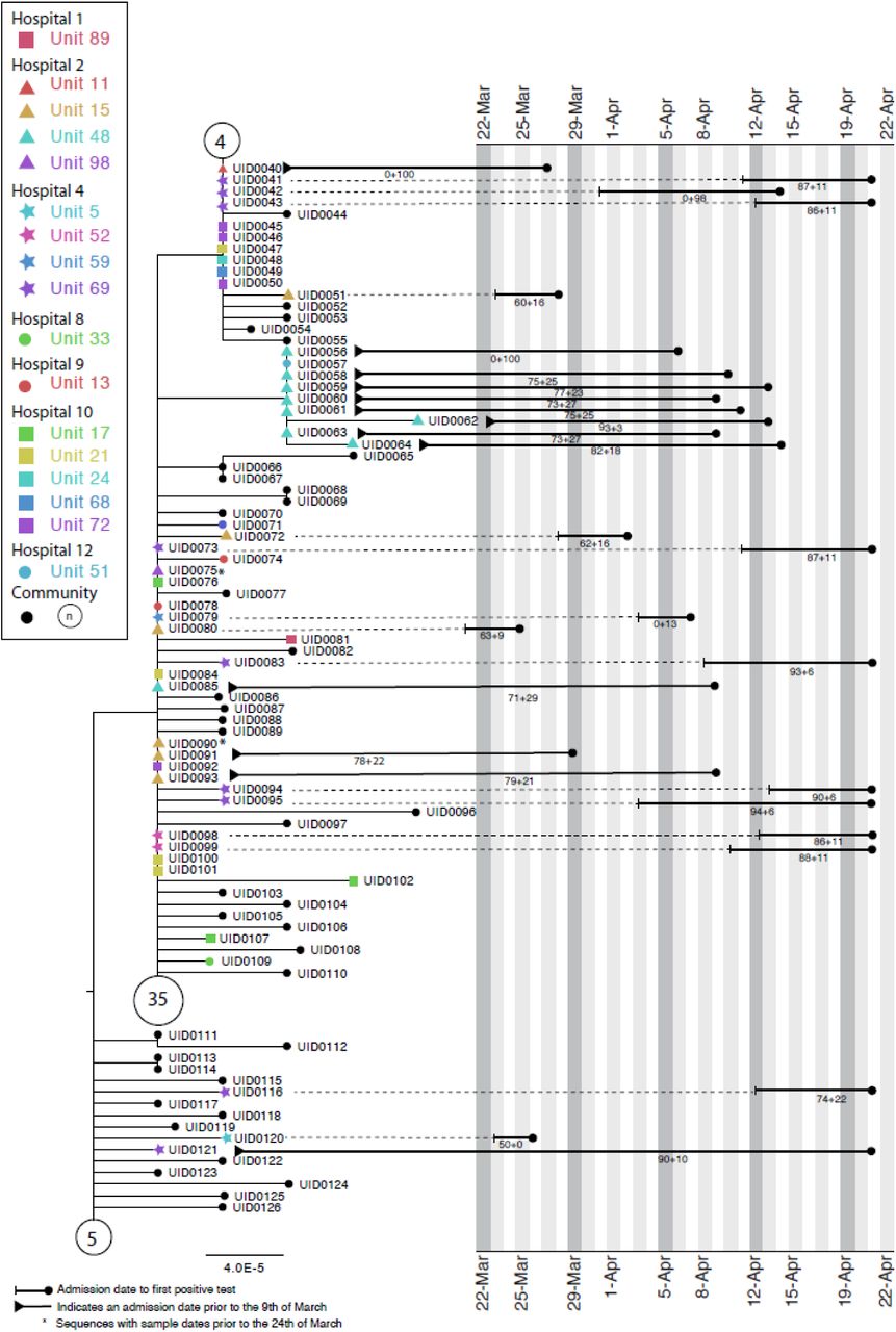 Maximum-likelihood tree for sequences found in Hospital 2 Unit 48 and Hospital 4 Unit 69 of the Glasgow dataset up until the 21st of April (inclusive). The circles with numbers represent the number of community sequences that are identical and at the base of each lineage (n=5, n=35, n=4). Tree tips with black circles represent further community sequences. The black lines represent the time from admission to sampling. The values below the line are the posterior probability for unit infection + the posterior probability of hospital infection from the sequence reporting tool.