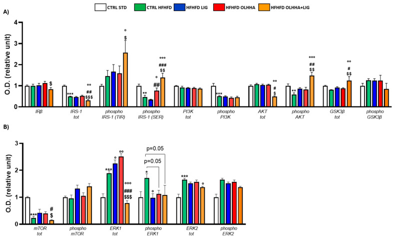 Expression in prefrontal cortex of proteins partaking to (A) insulin pathway and (B) metabolic sensors. Data are expressed as mean ± SEM and analyzed by two-way ANOVA (variables: diet, treatment). * p < 0.05, ** p < 0.01, *** p < 0.001 vs. CTRL STD; ° p < 0.05, °° p < 0.01, °°° p < 0.001 vs. CTRL HFHFD; # p < 0.05, ## p < 0.01, ### p < 0.001 vs. HFHFD LIG; $ p < 0.05, $$ p < 0.01, $$$ p < 0.001 vs. HFHFD OLHHA.