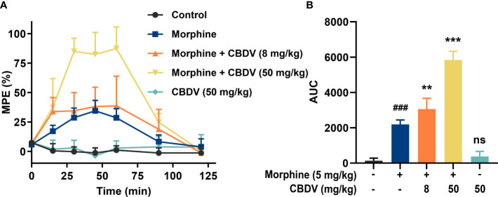 CBDV potentiates morphine-induced antinociception. (A) Intraperitoneal co-administration of morphine (5 mg/kg) and CBDV produced a significant potentiation of morphine hot plate analgesia. (B) The area under the curve (AUC) curves shown in panel (A). Data were presented as the mean ± S.E.M. n = 5/group; The P-value was set at ### P < 0.001 versus the control group; **P < 0.01, ***P < 0.001 versus the morphine group; ns, not significant versus the control group.