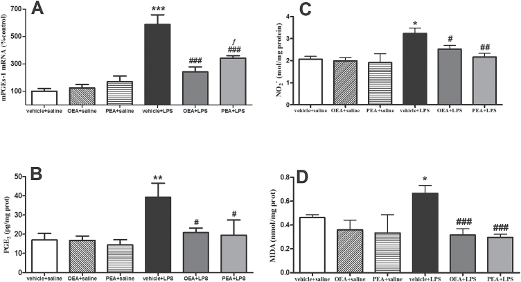 Prostaglandin (PG)E2 synthesis and release, nitrite accumulation, and lipid peroxidation in frontal cortex. (A) Real time-polymerase chain reaction (RT-PCR) analysis of the PGE2 synthesis enzyme microsomal prostaglandin E2 synthase (mPGES-1). (B) PGE2 levels measured by enzyme immunoassay. (C) NO2 - accumulation. (D) Malondialdehide accumulation as marker of lipid peroxidation. Data (n=3–6) are represented as means ± SEM. Different from control group: *P < .05, **P < .01, ***P < .001; different from vehicle + lipopolysaccharide (LPS): # P < .05, ## P < .01, ### P < .001; different from palmitoylethanolamide (PEA) + saline: ƒ P < .05 (2-way ANOVA followed by Bonferroni posthoc test).
