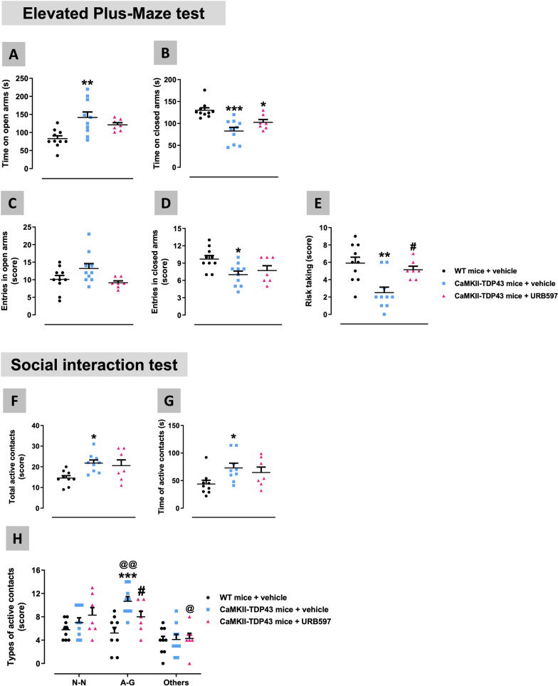 Behavioural data obtained in FTD and wildtype male mice at PND90 in the Elevated Plus Maze (panels A–E) and Social Interaction (panels F–H) tests after a chronic treatment with URB597 or vehicle. Details in the text. Data were expressed as means ± SEM and were analysed by one-way or two-way, as required, analysis of variance followed by the Bonferroni test (*p < 0.05, **p < 0.01, ***p < 0.005 versus wildtype mice treated with vehicle; #p < 0.05 versus FTD mice treated with vehicle; @p < 0.05, @@p < 0.01 versus the same genotype and treatment for each type of active contacts)
