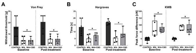 Analgesic potential of 10 mg/kg CBD at Day 20 and 21 post MIA induction. Baseline assessment was performed at Day 20 post MIA, whereas post-treatment assessment was performed 2 h after i.p. administration of CBD (10 mg/kg) (A–C). Two-way ANOVA identified treatment as significant source of variation in all tests (p < 0.0001). Individual data points are shown in box and whisker plots presenting the means ± min to max. ● denotes samples in control group; ■ denotes samples in MIA group; ▲ denotes samples in MIA + CBD group. Each experimental group included N = 5–6 rats. The difference was considered significant when p < 0.05. * Denotes significant differences compared with the vehicle-treated control group of healthy animals.
