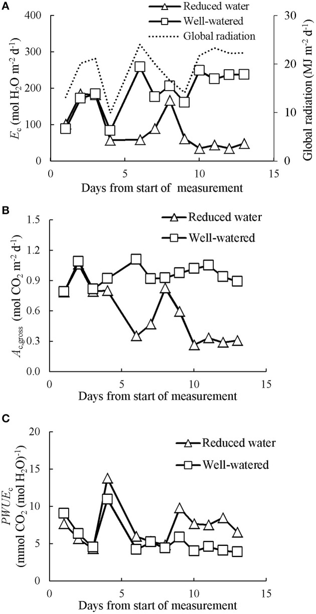 The evolution of prolonged water limitation effects on daily canopy transpiration (Ec; A), gross photosynthesis (Ac,gross; B) and canopy photosynthetic water-use efficiency (PWUEc; C). Data presented was collected in CAN2. The data has been normalized to the open-air conditions.