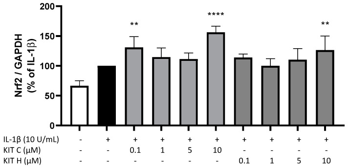 Effects of KIT C (light grey) and KIT H (dark grey) on Nrf-2 expression in IL-1β-stimulated SK-N-SH cells. SK-cells were stimulated as described in material and methods. After 4 h, RNA was isolated and mRNA levels of Nrf-2 was determined using qPCR. Values are presented as the mean ± SD of at least three independent experiments. Statistical analysis was performed using one-way ANOVA with Dunnett’s post hoc tests with ** p < 0.01 and **** p < 0.0001 compared to IL-1β.