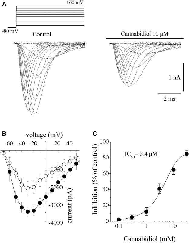 Cannabidiol suppresses the I Na in rabbit ventricular myocytes (A) Original current traces elicited by voltages in the range of −60 mV to +60 mV in control conditions (on the left) and 10 min after exposure to 10 μM CBD (on the right). The pulse protocol to activate I Na is presented in the inset (B) Current-voltage relations of I Na in the absence and presence of 10 μM CBD are presented with filled and open circles, respectively (n = 6) (C) Concentration-inhibition curve for CBD suppression of I Na (n = 6–8).