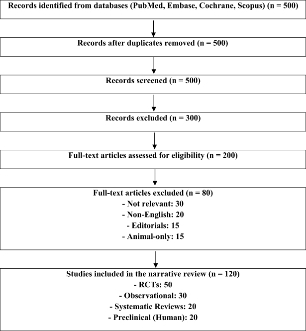 This PRISMA flow diagram summarizes the identification, screening, eligibility assessment, and inclusion of studies for a narrative review on epilepsy therapies. Data sources included PubMed, Embase, Cochrane Library, and Scopus.