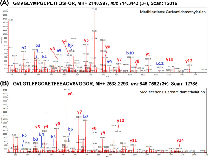 Mass spectra of peptide markers specific to coconut and hempseed obtained from 11S globulins extracted from: (A) coconut oil (11S globulin isoform 2, AKS26849.1); (B) hemp oil (edestin 3, SNQ45160.1).