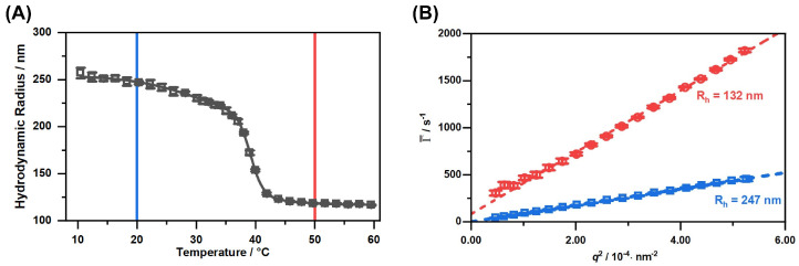 Hydrodynamic radius of the copolymer microgels obtained by temperature-dependent PCS measurements (A) and average relaxation rates Γ¯ plotted against q2 (B) measured with angle-dependent PCS at the temperatures 20 ∘C (blue) and 50 ∘C (red). The straight black line represents a sigmoidal fit through the swelling curve, employed to determine the VPTT of the copolymer microgel by using the point of inflection of the fit. Dotted coloured lines are linear fits used to determine the translational diffusion coefficient.