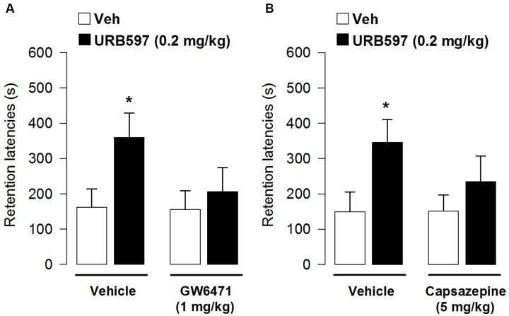 Effects of post-training administration of URB597 after concurrent administration with PPAR-α or TRPV1 antagonists on retention latencies. The enhancing effect on retention latencies induced by URB597 0.2 mg/kg was partially reverted by blocking PPAR-α (A) or TRPV1 (B). Data represent mean ± SEM. ∗p < 0.05 vs. vehicle-treated rats (n = 10–12 per group).