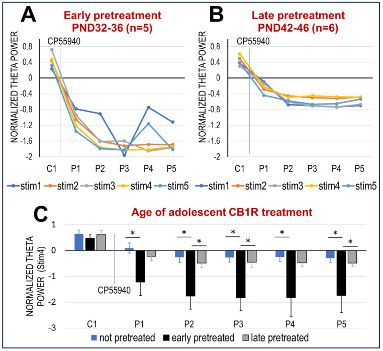 Effect of adolescent age of CB exposure on network oscillations in adulthood. (A,B). Decrease in theta power (group averages) after acute CP-55940 injection in adult rats that had been exposed to the same drug (0.3 mg/kg, daily for 5 days) within PND 32–36 (A) or PND 42–46 (B). (C). Comparison of changes in theta power elicited by stim4 after acute CP-55940 injection in CB-naïve rats with rats exposed to CB1R agonist at different ages in adolescence (early- (PND 32–36) or late-pre-treated (PND 42–46)). Columns and error bars show averages and S.E.M; asterisks show significant differences.