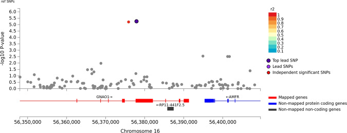 Association of stimulant dependence with SNPs located in the GNAO1 region in the African American discovery sample.SNPs are color-coded according to the correlation coefficient (r2) in the 1000 Genomes African reference panel with the top-ranked SNP, rs116441240. Rs116441240 was nearly genome-wide significant (P = 1.09 × 10−7) after meta-analysis with the replication sample.