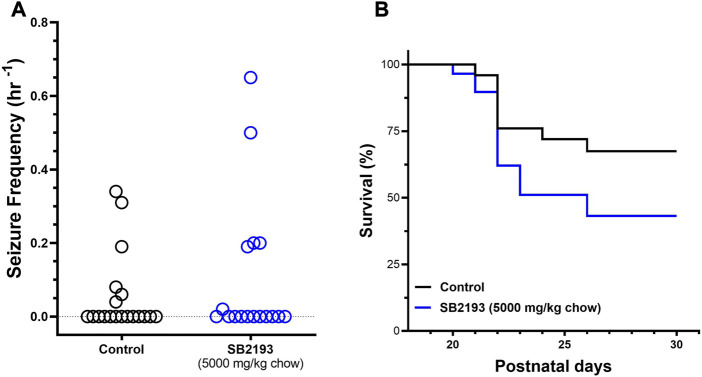 SB2193 treatment in Scn1a +/− mice. Spontaneous generalised tonic-clonic seizure (GTCS) frequency of individual untreated and SB2193-treated Scn1a +/− mice (A). Treatment was administered orally through supplementation in chow (5,000 mg/kg chow) from postnatal day 18 and spontaneous GTCSs were quantified over 48 h from postnatal day 23–24. Sub-chronic SB2193 treatment had no effect on spontaneous seizure frequency (p = 0.67, Mann-Whitney U test, n = 17–19). Survival curves comparing untreated and SB2193-treated Scn1a +/− mice (B). SB2193 treatment had no effect on survival of Scn1a +/− mice to P30 (p = 0.09, Mantel-Cox log rank).