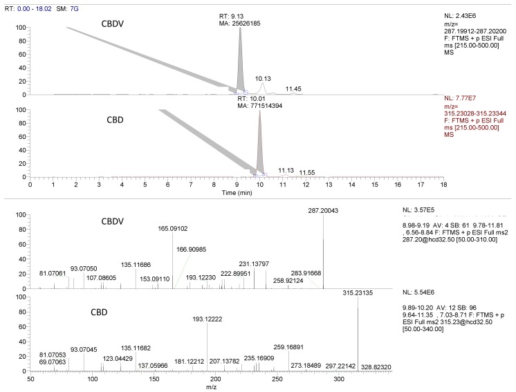 Retrospective data analysis reveals the occurrence of CBDV: full MS-dd-MS2 chromatogram and relative fragmentation pattern of parent ion (287.20048) obtained in dd-MS2 acquisition mode. For the comparison, the CBD signal and fragmentation pattern is also presented.