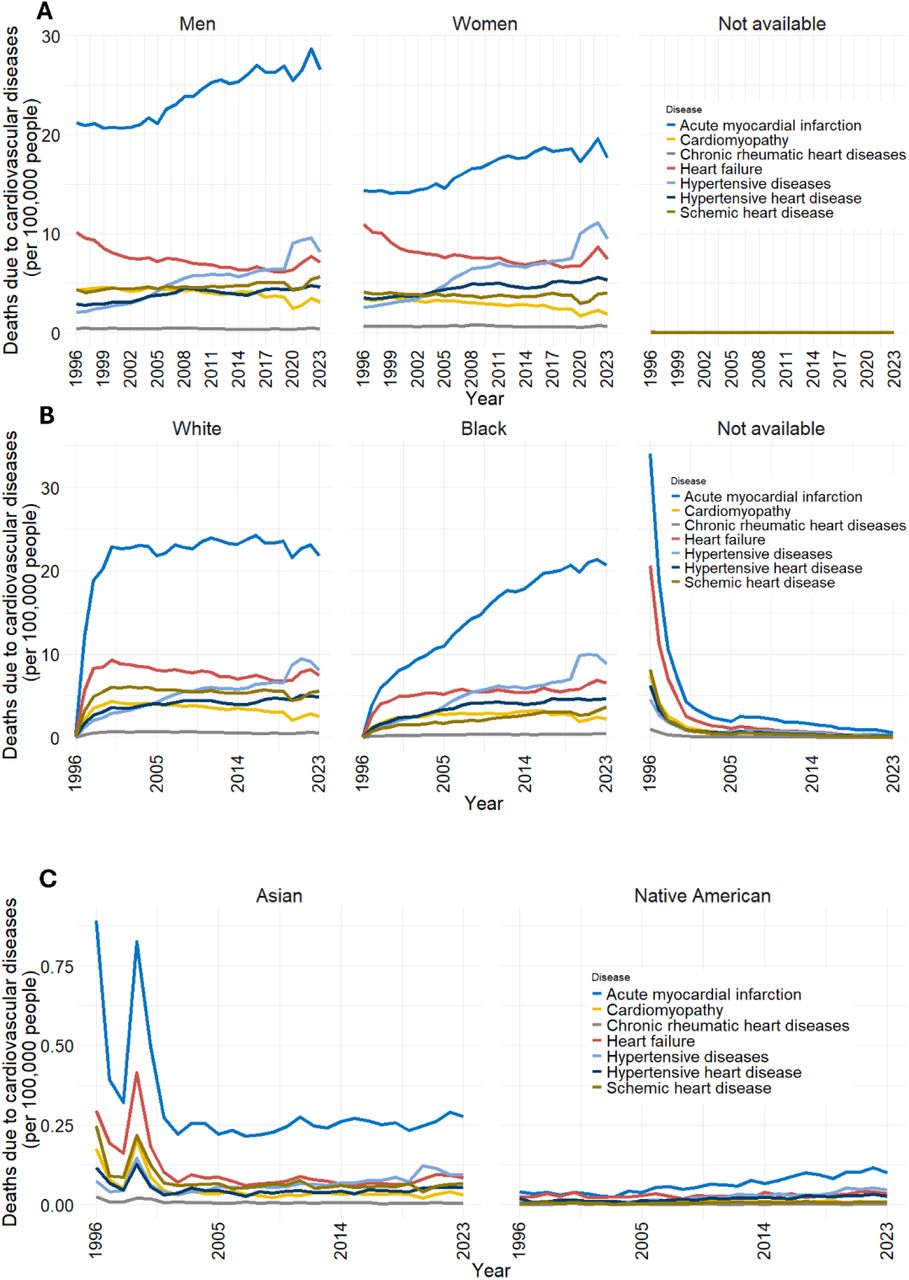 Profile of selected cardiovascular diseases (CVD) according to sex and ethnicity in Brazil.(a) Temporal trends in mortality from the seven selected CVDs according to sex. Acute myocardial infarction remained the leading cause of death in both sexes and consistently accounted for substantially more deaths in men than in women, whereas the remaining CVDs showed smaller sex-related differences. (b) Temporal trends in mortality according to self-reported ethnicity (White, Black, and Not available). Acute myocardial infarction was the leading cause of death in all groups, while hypertensive diseases contributed proportionally more to mortality among Black individuals. (c) Temporal trends in mortality among individuals of Asian descent and Indigenous populations. Mortality rates were considerably lower than those observed in the other ethnic groups, although acute myocardial infarction remained the predominant cause of death. Mortality rates are expressed as deaths per 100,000 inhabitants.