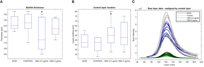 Biofilm thickness, central layer location, and realignment. (A) Biofilm sample thickness, calculated by the number of layers in SD-CLSM images multiplied by 2.5 μm per layer. (B) Depth in μm of the central layer. (C) Realigned layer-wise live (SYTO 9) signal intensity. Two-tailed t-test was performed. *p < 0.05.
