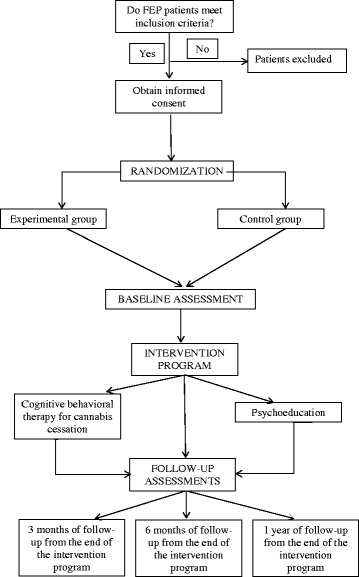 Study procedure