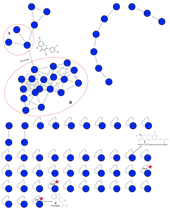 Full molecular networking from M. sinaica aerial parts fraction created using MS/MS data in negative mode. Nodes are labeled with parent mass. Clusters A and B indicate the O-glycosidic flavonols and their derivatives.