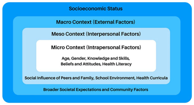 Summary of Higgins et al. (2009) social-ecological model of adolescent health literacy.Note. Contextual factors on adolescent health literacy are not static rather they overlap.