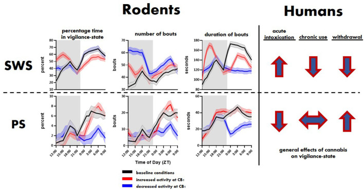 General effects of cannabinoid type 1 (CB1) activity on slow-wave sleep (SWS) and paradoxical sleep (PS) in rodents and humans. Top and bottom rows show trends related to SWS and PS, respectively. The rodent panel illustrates trends extrapolated from Pava et al. (2016). The human trends are illustrated using arrows showing the direction, i.e., overall increase or decrease, of change in SWS and PS associated with initial cannabis use, extended use and associated tolerance, and cessation of use.