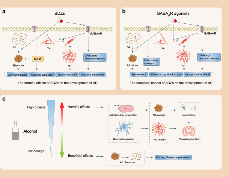 Schematic representation of the biphasic effects of CNS depressants. a Schematic showing mechanisms of action of BDZs in AD. BDZs function as positive allosteric modulators of GABAAR and enhance inhibitory GABAergic neurotransmission. BDZs cause calcium homeostasis imbalance, nerve damage, insulin resistance and cognitive impairment by enhancing Aβ and tau deposition, decreasing BDNF levels and over-activating GABAergic neurotransmission. b Schematic showing the mechanism and the superiority of GABAAR agonists for AD treatment. The GABAergic system is a potential target for blocking the pathophysiology associated with AD. GABAAR agonists play a neuroprotective role in AD by reducing Aβ toxicity, causing inflammatory changes and inhibiting tau protein phosphorylation. c Ethanol has bidirectional effects on AD. High doses of ethanol increase ROS and trigger pro-inflammatory responses, leading to neurodegenerative changes. Low doses of ethanol are beneficial for Aβ clearance and working memory improvement