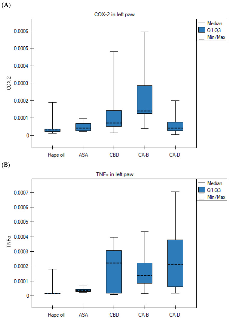 Gene expression in left paws after rapeseed oil (i.g.) in the rat group with carrageenan test, after ASA (acetylsalicylic acid) (i.g.) in the rat group with carrageenan test, after CBD (cannabidiol) (i.g.) in the rat group with carrageenan test, after Extract B—Cannabis sativa L. extract, variety Tygra (i.g.) in the rat group with carrageenan test, after Extract D—Cannabis sativa L. extract, variety Dora (i.g.); (A) for COX-2, p = 0.010 in the right paw for the Extract B vs. the rapeseed oil group in the Kruskal–Wallis test, followed by the Bonferroni–Dunn post hoc test; non-parametric data (B) for TNFα, p = 0.0057 for Extract D group vs. rapeseed oil group in the Kruskal–Wallis test, followed by the Bonferroni–Dunn post hoc test; non-parametric data i.g.—intragastric administration; data presented as medians (---) with quartile ranges (Q1, Q3).