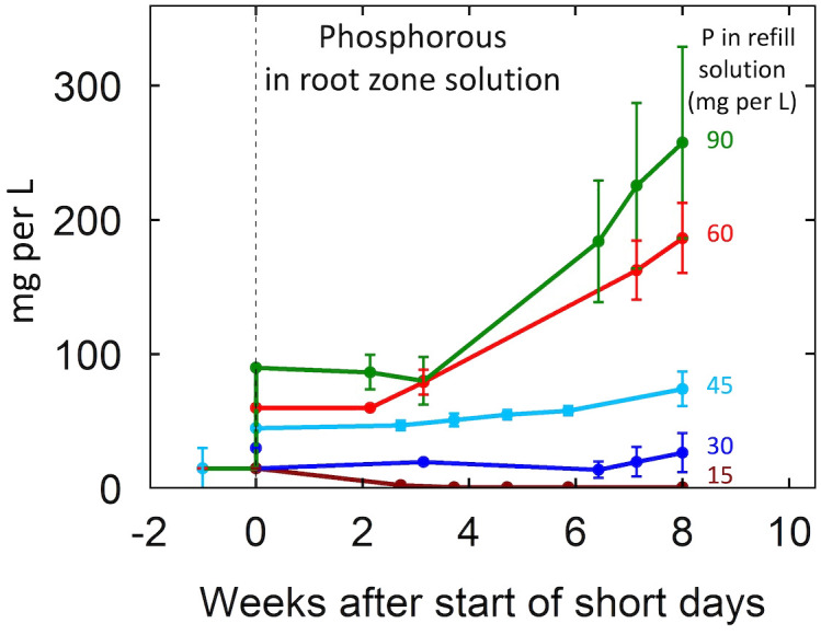 Change in the concentration of P over the eight-week life cycle for the five P levels in this study. The nutrient treatments were 15 mg per L during vegetative growth. Treatments commenced at the start of short days (week zero). The nutrient solution was recirculated (closed) so there was no leaching. The 15 mg per L treatment received 15 mg per L at each refill event (daily) but active uptake resulted in a low level in the closed circulating solution. The other concentrations provided P faster than the plants could absorb it and the solution concentration increased over time. Individual data points represent the mean of the two EC treatment levels within each P treatment. Error bars represent standard deviation from the mean (n = 2).
