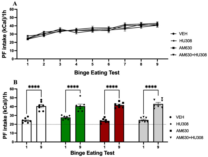 Palatable food (PF) kilocaloric (kCal) intake in the Binge Eating Test. (A) Point-plot showing the increase of PF intake in Binge Eating Test 1 through Binge Eating Test 9. (B) Bar graphs showing the comparative PF intake in Binge Eating Test 1 versus Binge Eating Test 9. Data express the mean ± SEM (n = 7/group). **** p < 0.0001. Two-way ANOVA analysis with Šidák’s multiple comparison test.