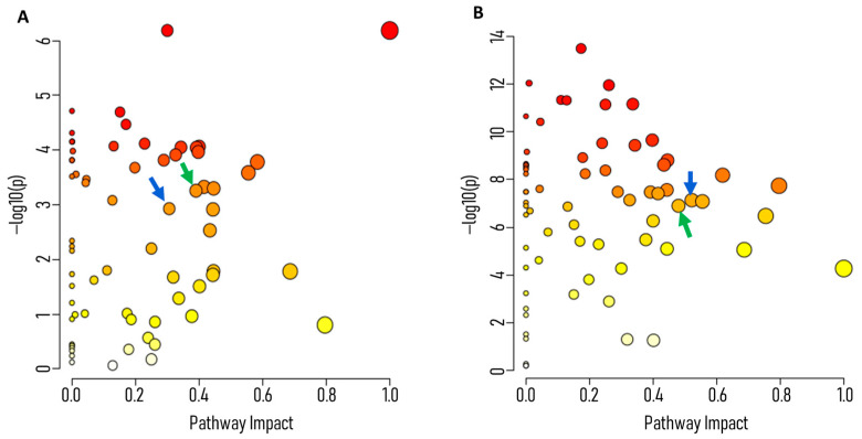 Pathway enrichment and impact analysis of S. mutans treated with AEA. S. mutans was untreated (control) or treated with 10 µg/mL AEA. Metabolites were analyzed by LC-MS. Pathway Enrichment Analysis results are shown after (A) 1 h and (B) 6 h of incubation. Green arrows indicate the PPP, and blue arrows denote the glycolysis pathway. Data were analyzed and visualized using MetaboAnalyst Software V.6.0. n = 6.
