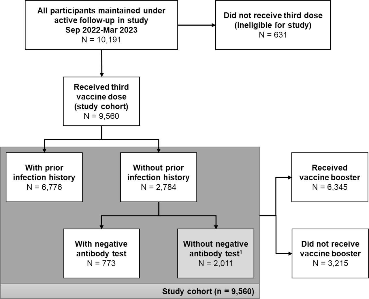 Flowchart of participation in study and uptake of booster vaccine. 1Individuals without prior infection history and without a negative antibody test within the 6 months prior to study entry were excluded from analyses exploring time since infection.