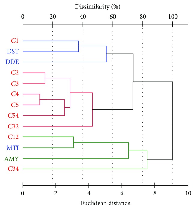 Cluster analysis between farinograph, amylograph, and mixolab parameters. Farinograph data: DDT: dough development time, DST: dough stability, MTI: mixing tolerance index; amylograph data: AMY: viscosity maximum; Mixolab torque data: C1–C5, and their pair differences C12, C32, C34, and C54.