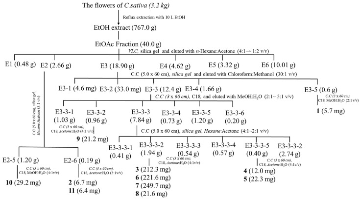 Extraction and isolation for compounds 1–11.