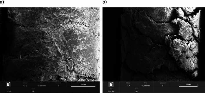 Pellet A: (a) surface area of fresh pellets; (b) surface area of pellets after moisture test.