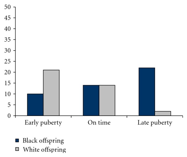 Percentage of teen offspring who reported recent cannabis use as a function of race and pubertal timing.