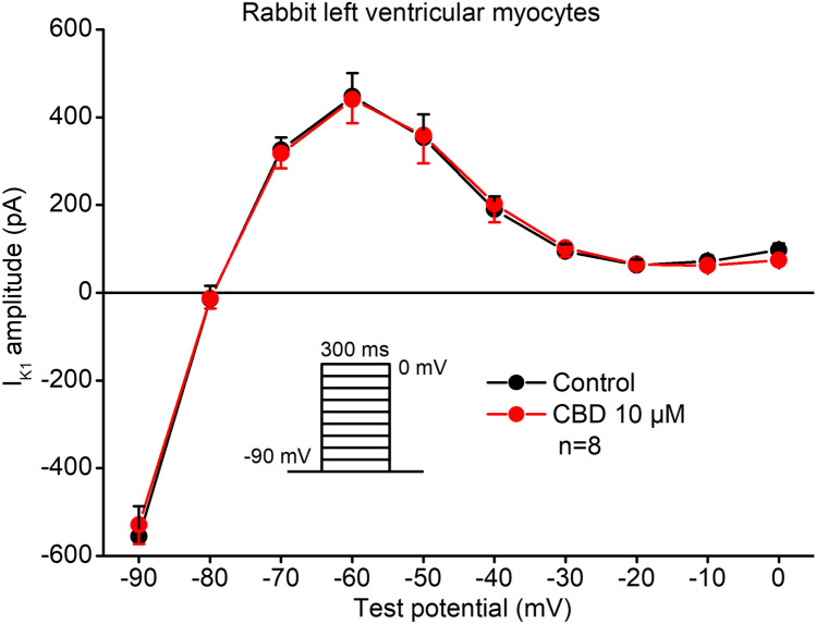 Lack of effect of CBD on the inward rectifier potassium current in rabbit left ventricular myocytes. The panel shows steady-state current–voltage curves for IK1 in control conditions and after application of 10 µM CBD in rabbit left ventricular myocytes. Inset indicates the voltage protocol. Data are expressed as means ± SEM