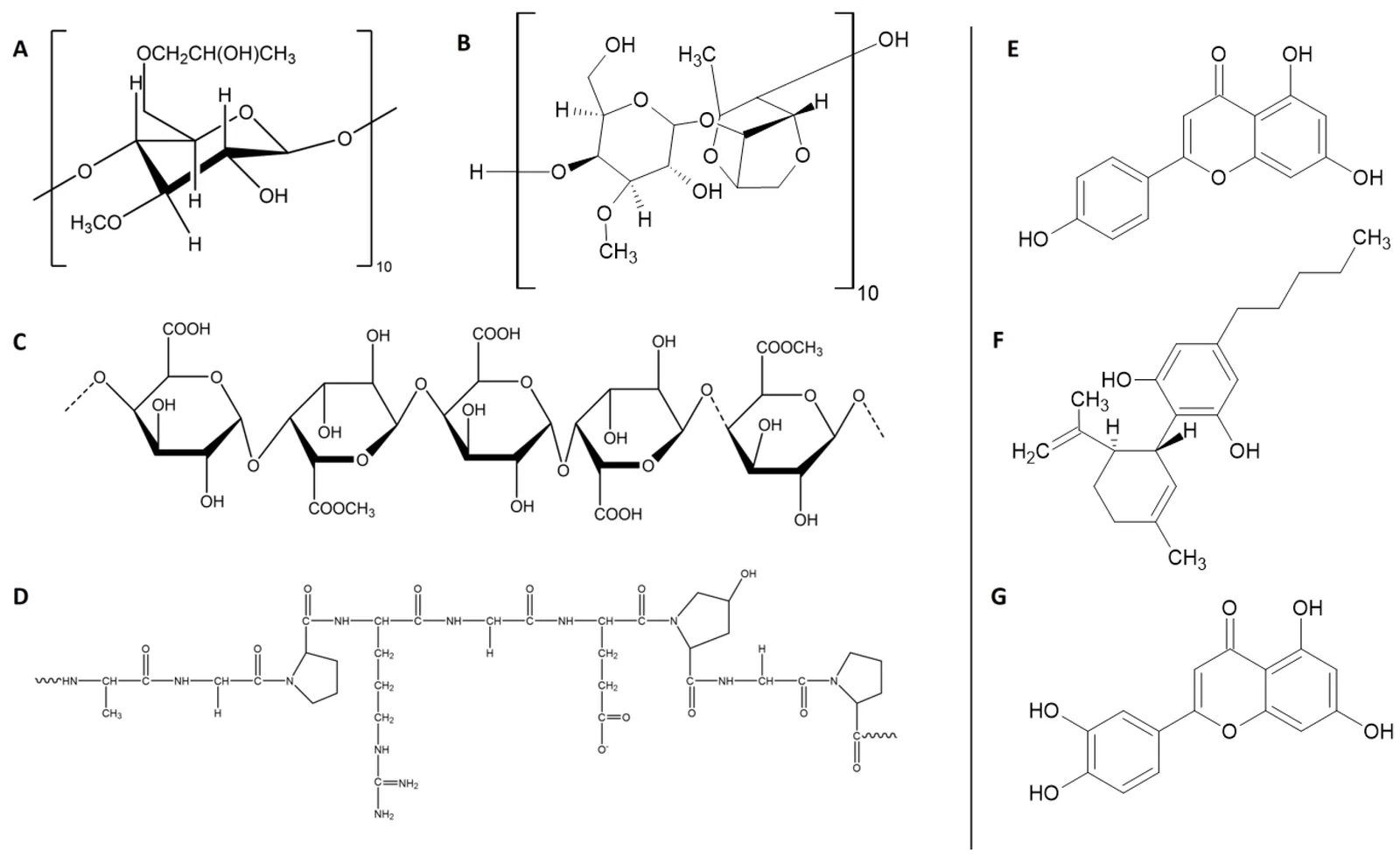 Representative chemical structures used in the molecular modelling: (A) HPMC oligomer (n = 10); (B) agar oligomer (n = 10); (C) pectin; (D) gelatine; (E) apigenin; (F) cannabidiol (CBD); and (G) luteolin.
