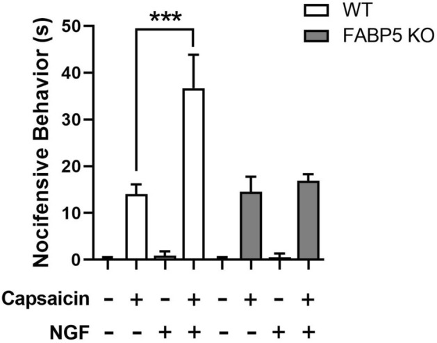 Capsaicin-induced nocifensive behavior in WT and FABP5 cKO mice. Mice received an intraplantar injection of vehicle or 200 ng NGF followed by vehicle or 1 µg capsaicin. The duration of nocifensive behavior defined as paw licking or biting was subsequently scored for 5 min. *p < 0.05 calculated using unpaired t test (n = 6).