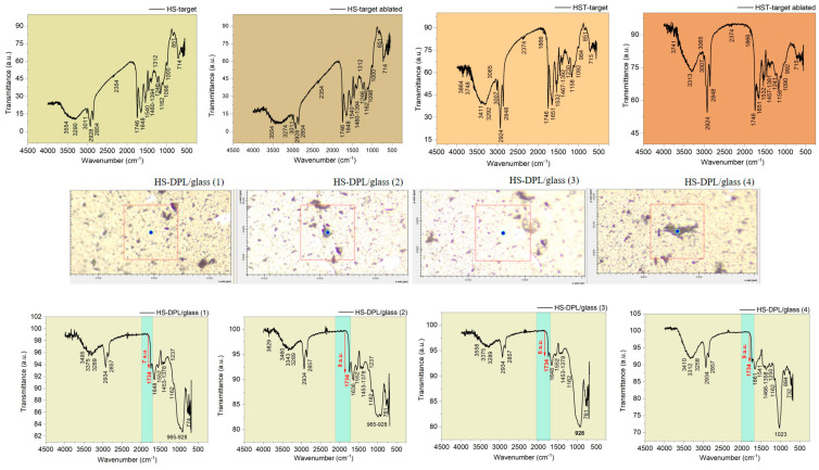 FTIR spectra of initial hemp seed target (HS-target) and the ablated area (HS-target ablated); Micro-FTIR ATR images and spectra of the obtained thin film on the glass slab (HS-DPL/glass (1), HS-DPL/glass (2), HS-DPL/glass (3), and HS-DPL/glass (4)) and of the initial target of hemp seeds mixed with turmeric (HST-target) and the ablated area (HS-T-target ablated); Micro-FTIR ATR images and spectra of the obtained thin film on the glass slab (HST-DPL/glass (1), HST-DPL/glass (2), and HST-DPL/glass (3)).