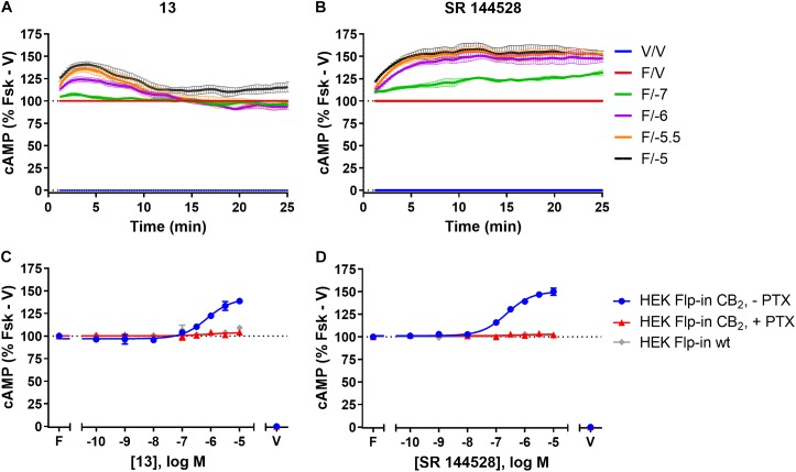 cAMP signalling in HEK Flp-in hCB2 and HEK Flp-in wt cells in response to 13 and prototypic inverse agonist, SR 144528. (A,B) Time courses for modulation of cAMP concentration by 13 (A) and SR 144528 (B) at active concentrations (noted in log units, in the presence of 5 μM forskolin “F/_”) on HEK Flp-in hCB2 cells. Data were normalised to vehicle-treated (“V/V”; 0%) and forskolin alone (“F/V”; 100%). (C,D) Concentration-response curves for modulation of cAMP concentration by compound 13 (C) and SR 144528 (D) (both in the presence of 5 μM forskolin) in HEK Flp-in hCB2 cells following 16–20 h pre-treatment in the absence or presence of PTX, or in HEK Flp-in wt cells. Concentration-response curves were generated by plotting each concentration measured at 5 min post-drug addition. These data were then normalised to vehicle-treated (V; 0%) and forskolin alone (F, Fsk; 100%). Data in all panels are presented as mean ± SEM from three independent experiments.