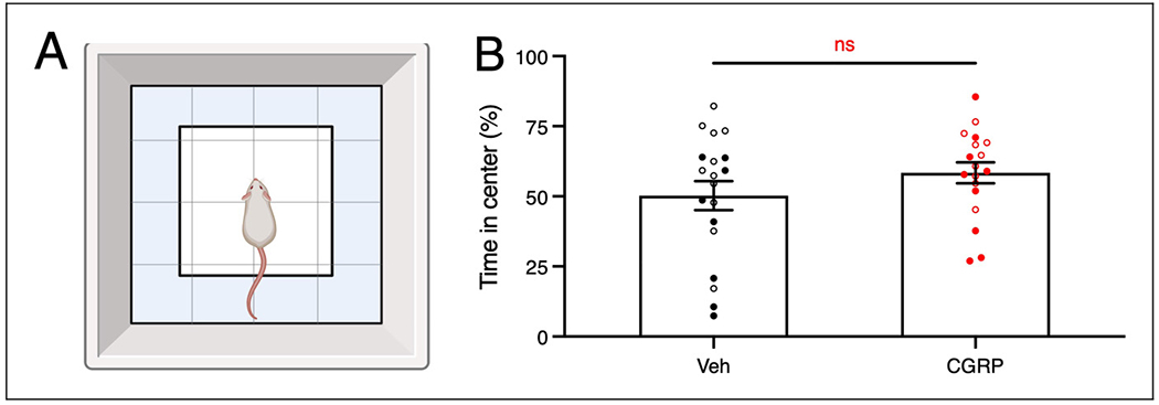 Central administration of CGRP does not cause anxiety in the open field assay. (A) Open field assay experimental paradigm. (B) Average time spent in the center of individual mice. Central administration of CGRP does not cause anxiety in the open field assay as shown in percentage time in center. Using an unpaired t-test, the CGRP group was not significantly different from the PBS + Veh group (ns, p = 0.2127). Mean + SEM was used. Number of mice: PBS + veh: n = 19; CGRP + veh: n = 18, male mice (open circles) PBS + veh: n = 11; CGRP + veh: n = 9, and female mice (closed circles) PBS + veh: n = 8; CGRP + veh: n = 9. Statistical analyses are further described in the supplementary material (Table S7). CGRP = calcitonin gene-related peptide; PBS = phosphate-buffered saline; Veh = vehicle.