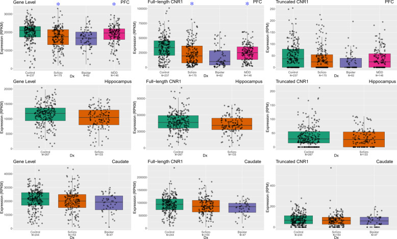 The comparison of mRNA expression of CNR1 gene and CNR1 transcripts in human DLPFC, hippocampus and caudate.The mRNA expression of CNR1 gene, full-length CNR1 transcript and 99 nt truncated CNR1 transcript was studied across four cohorts of subjects in DLPFC, two cohorts of subjects in hippocampus and three cohorts of subjects in caudate. The x-axis showed the different diagnostic groups: Control, nonpsychiatric control group; Schizo, patients with schizophrenia; Bipolar, patients with bipolar disorder; MDD, patients with major depression. The y-axis represents the relative expression quantities at gene level or transcript level in the DLPFC, hippocampus or caudate. Each dot represents a subject. Blue stars indicate patient groups with significantly differential expression compared with control group.