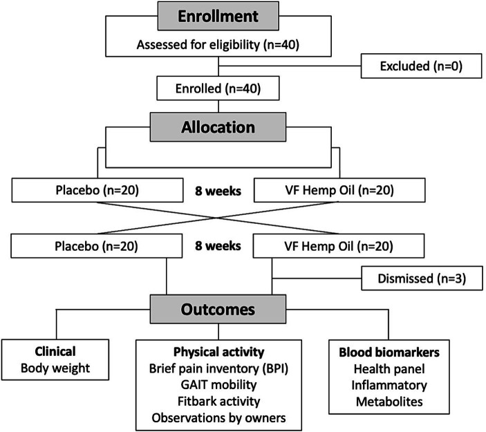 Flowchart of the study.