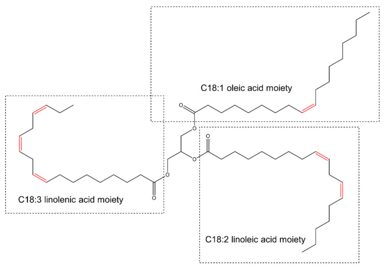 Scheme of a triglyceride with the main C18 fatty acid chains present in vegetable oils.