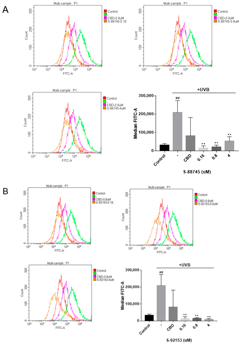 Inhibition of CBD, S-88745 and S-92153 on UV-induced ROS in HFF-1. Each bar illustrates the average ± standard deviation (SD) counted from three experiments. (A) ROS content of S-88745 and CBD (0.8 μM). (B) ROS content of S-92153 and CBD (0.8 μM). The control group was not stimulated by UV. The UV-treated group (-) produced a lot of reactive oxygen species after UV stimulation. The experiments were repeated three times. Each bar illustrates the average ± standard deviation (SD) counted from three experiments. p < 0.05 was considered statistically significant. ** p < 0.01 compared to the UV−treated group; ## p < 0.01 compared to the control group.