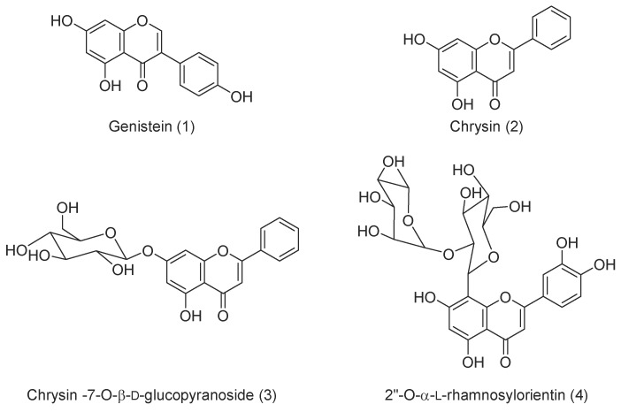 Compounds isolated of Cytisus villosus aerial parts.