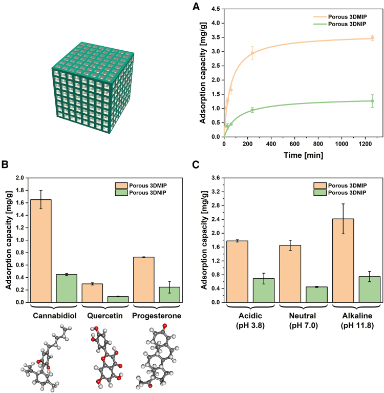 Characterization of CBD binding to porous S1-type 3DMIPs and their respective 3DNIPs in batch incubation studiesThe CBD content in the extraction solutions was quantified by UV/VIS spectroscopy. Data are represented as mean of three independent experiments (n = 3), and error bars represent the standard deviations. (A) CBD adsorption kinetics were investigated over 21 h (incubation: 0.0024 mmol CBD in 100 mL water/methanol 3/1 [v/v]; extraction in 3 mL ethanol for 15 min). The data were fitted using a pseudo-second-order kinetic model, yielding a rate constant k2 ≈ 0.0049 g/mg/min and equilibrium adsorption capacity Qe ≈ 3.61 mg/g for 3DMIP and k2 ≈ 0.0092 g/mg/min and Qe ≈ 1.31 mg/g for 3DNIP. See also Figure S1 for further information. (B) Specificity experiments performed under identical conditions with an incubation time of 60 min revealed preferential binding of CBD over quercetin and progesterone.(C) pH-dependent adsorption showed maximum CBD uptake under alkaline conditions (pH 11.8), with an adsorption capacity of 2.42 mg/g and an IF of 3.2.